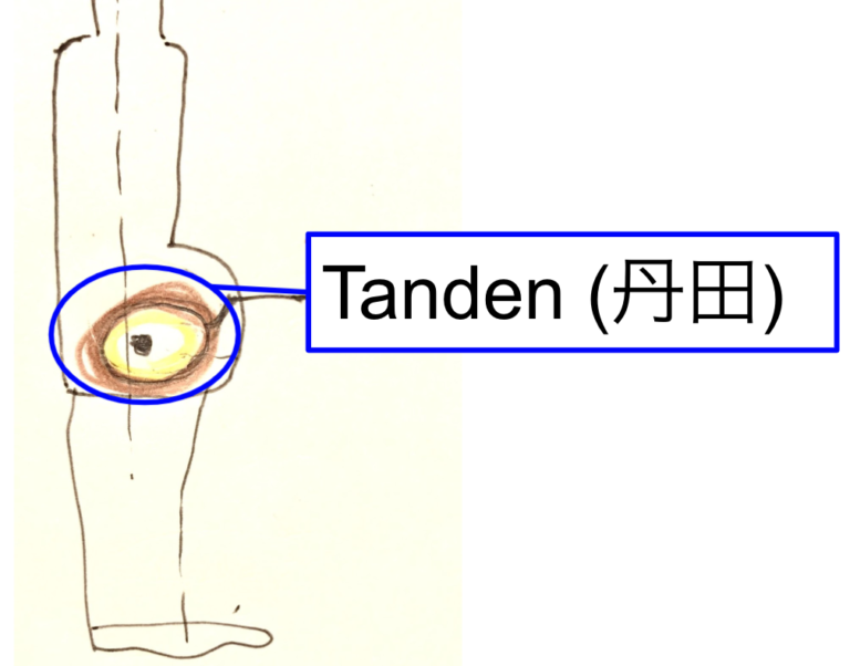 高橋弓論:胴造で丹田を自然に意識する方法 | 理論弓道:大きく引いて的中する射の構築法