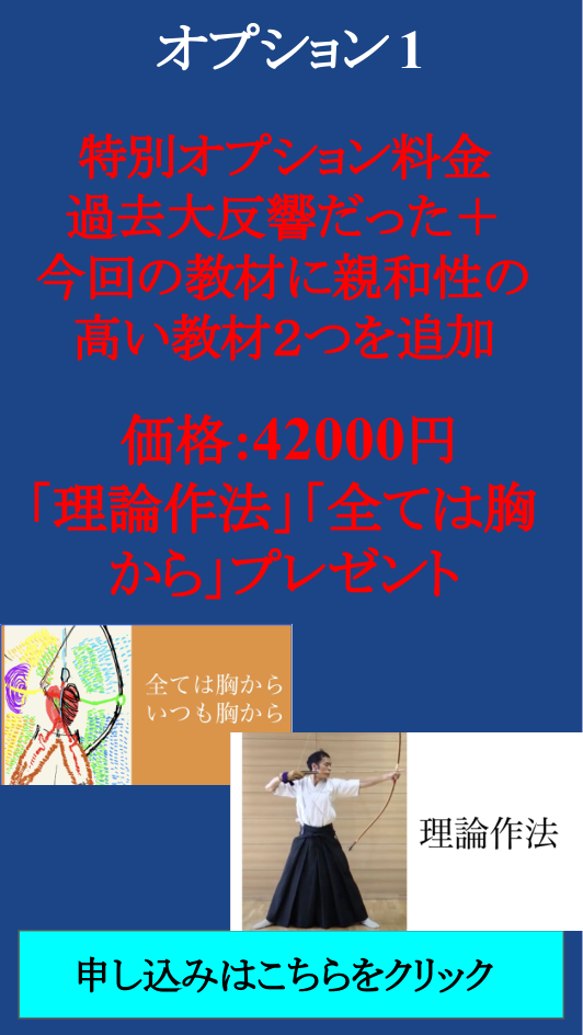 オプション1
