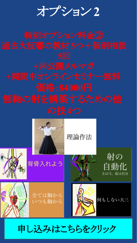 オプション2
