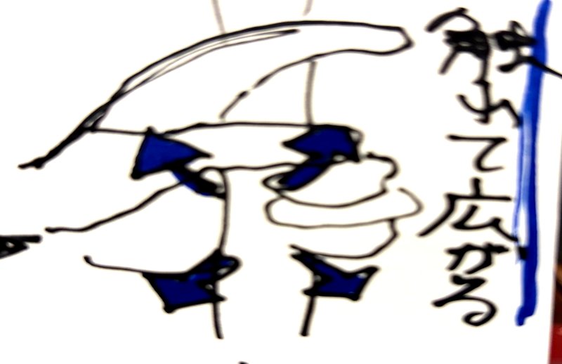 弓を引く際に肩甲骨を開いて広げる動き