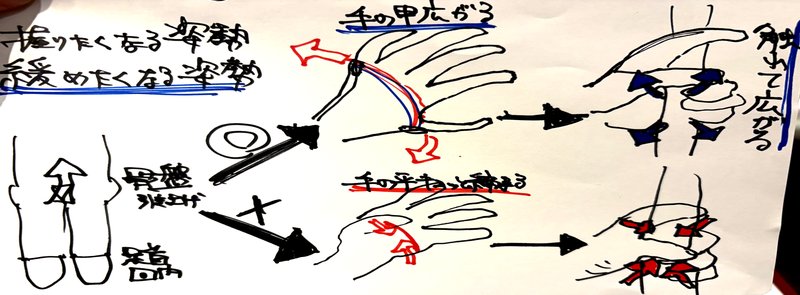 手の内の握り方と姿勢の関係