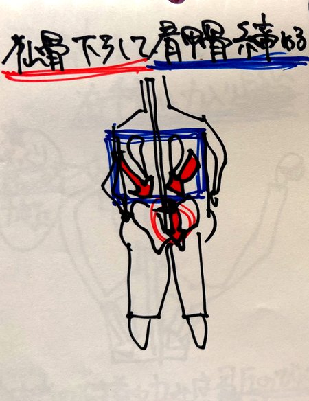 仙骨を下ろして肩甲骨を締める姿勢