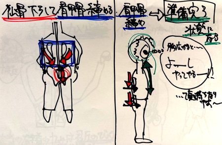 肩を下ろして肩甲骨を締める姿勢